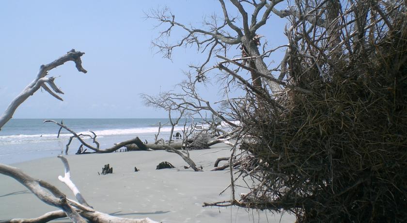 Best Western Sea Island Inn