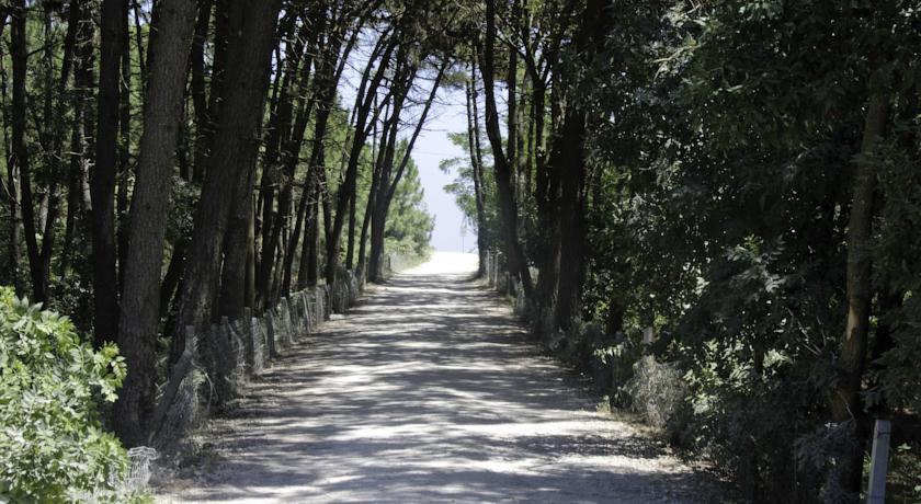 Adriano Family Collection